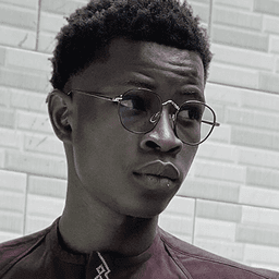 The professional me ๐